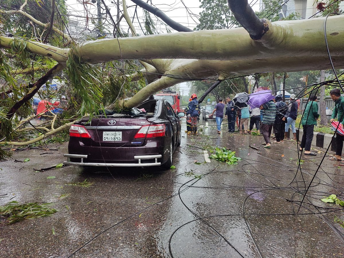 রাজধানীর উত্তরার জসীমউদ্দিন সড়কে একটি গাড়ির ওপর এভাবেই ভেঙে পড়েছে গাছ। ছবিটি সকাল ১০টায় তোলা
